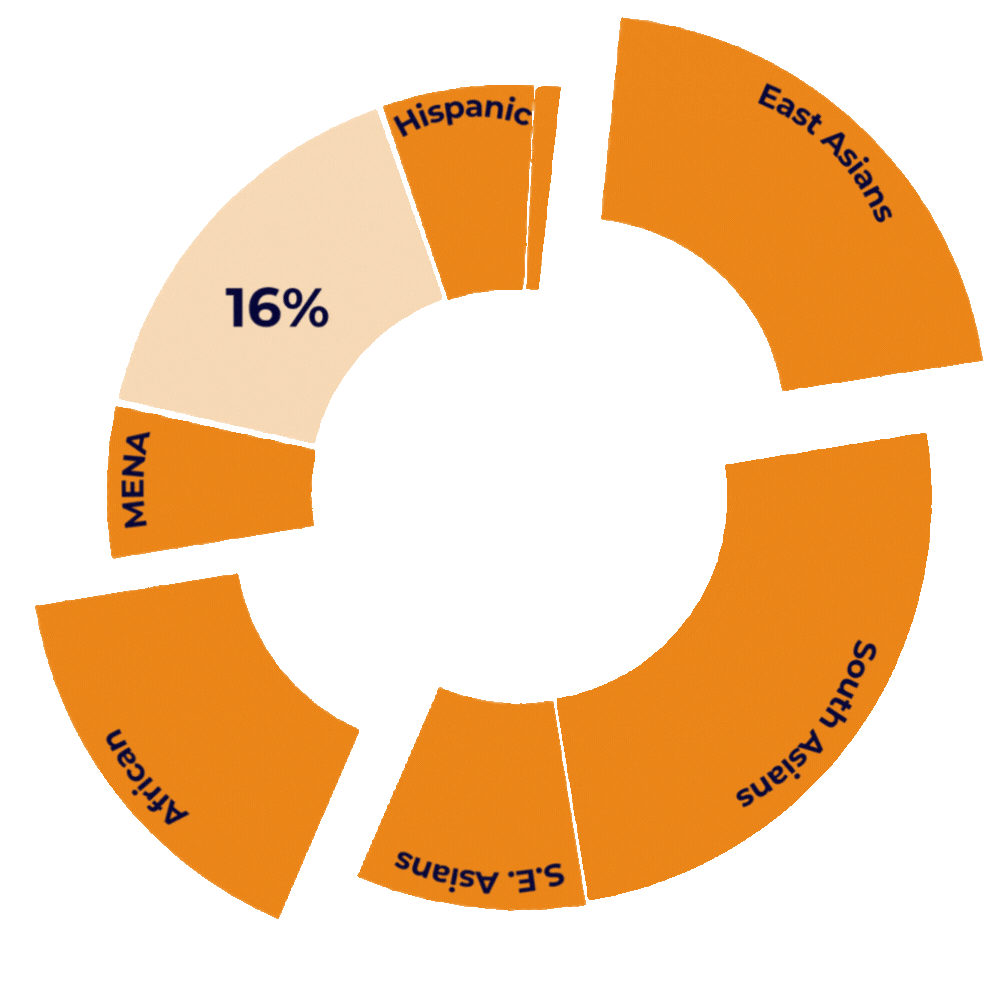 Dataset breakdown pie chart